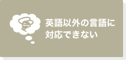 英語以外の言語に対応できない