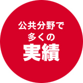 公共分野で多くの実績