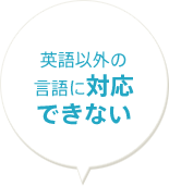 英語以外の言語に対応できない