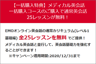 ランゲージワン・メディカル英会話 月払いコース